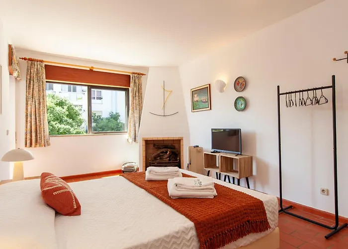 Amaro Sight 라고스